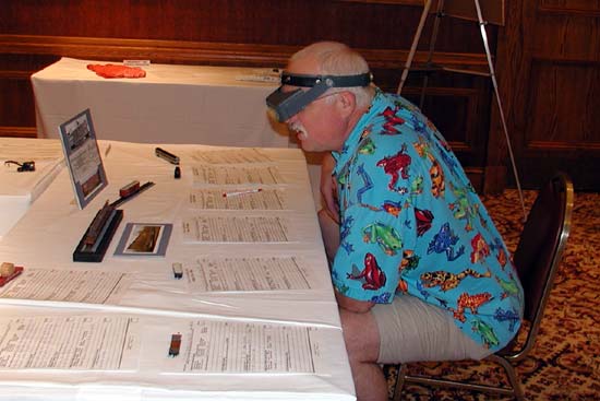 Judging N-scale models